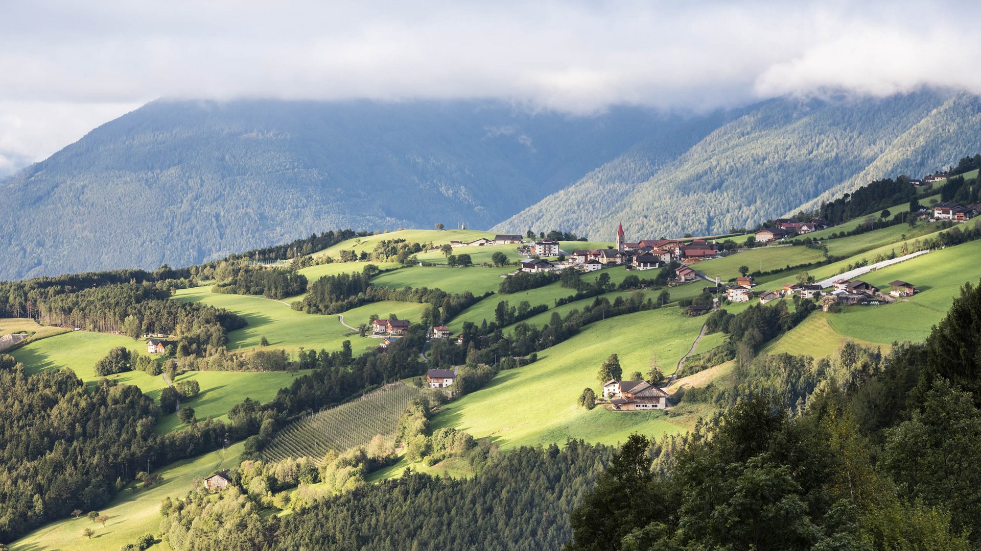 The Alpine hamlet of Spinges The picture shows a gentle, green hilly landscape with scattered houses and a small church with a red tower. In the background, forested mountain slopes stretch out, partially obscured by clouds.