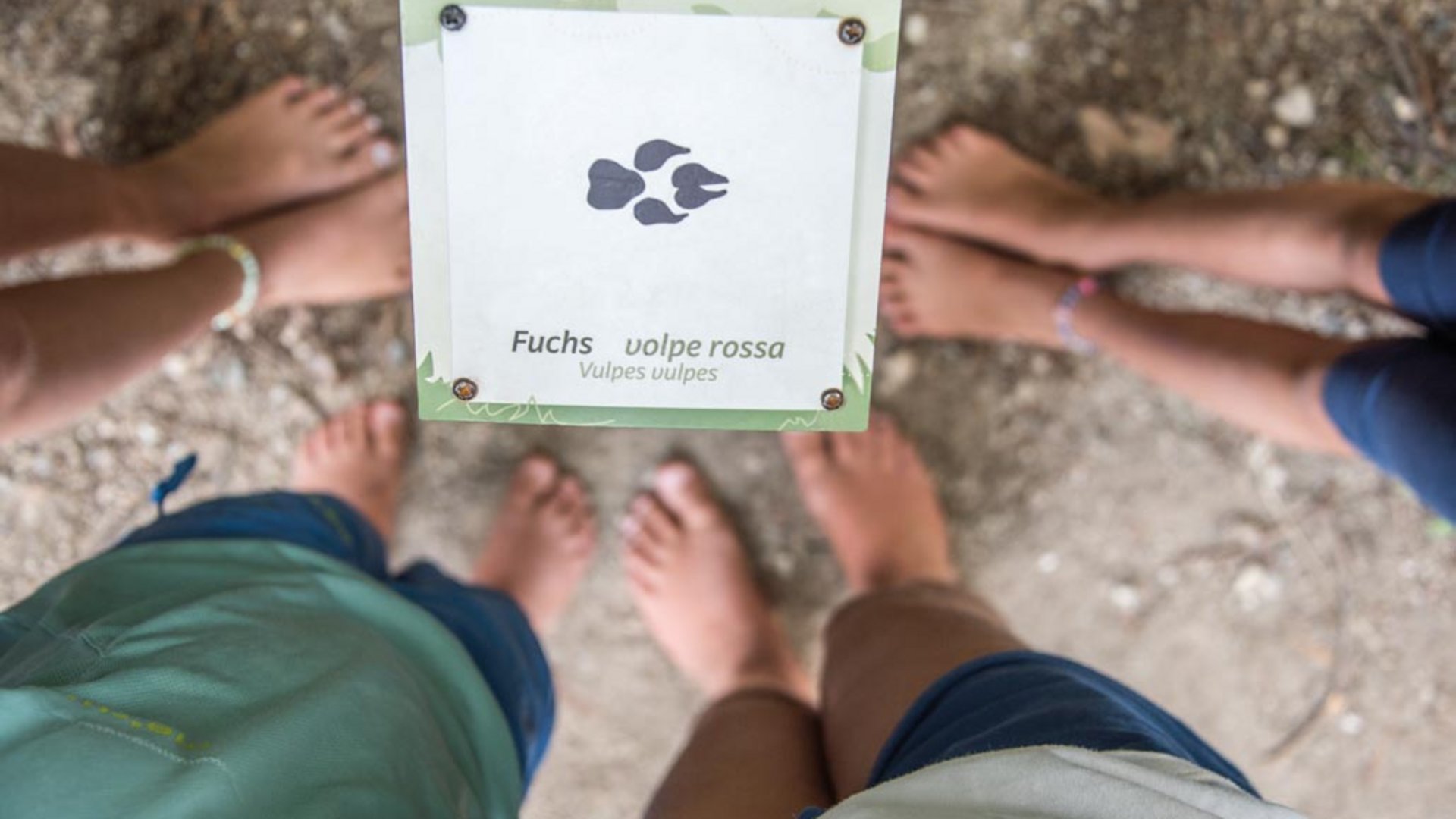 Elfí cesta (Elfenweg) u Vintlu Obrázek ukazuje bosé nohy několika dětí stojících kolem cedule. Na ceduli je otisk tlapky a text „Fuchs – volpe rossa (Vulpes vulpes)“, který ukazuje na stopu lišky.