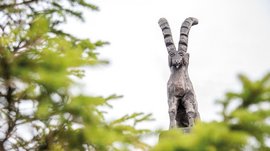 Sonnenpark Gitschberg De afbeelding toont een gedetailleerde houtsnijwerk van een steenbok met lange, naar achter gebogen hoorns. Op de voorgrond zijn onscherpe groene takken te zien, terwijl de lucht op de achtergrond grijs is.