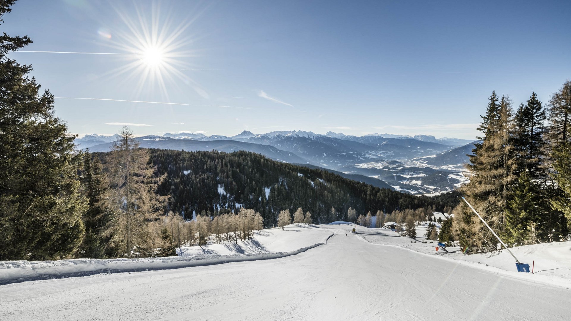 Skigebied Gitschberg Jochtal Zonnige skipiste met besneeuwd bos en bergen op de achtergrond