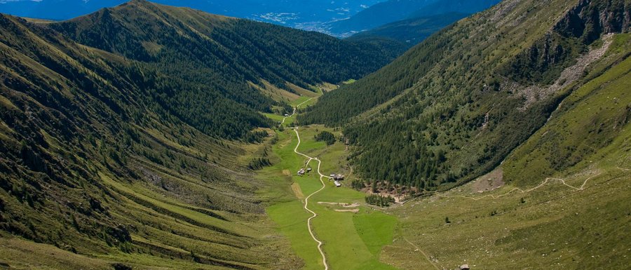 Find your accommodation in South Tyrol The picture shows a wide valley stretching between two tall, forested mountain slopes. A narrow, winding path leads through the green valley, past some scattered huts. In the background, the majestic peaks of the Alps can be seen dominating the horizon.