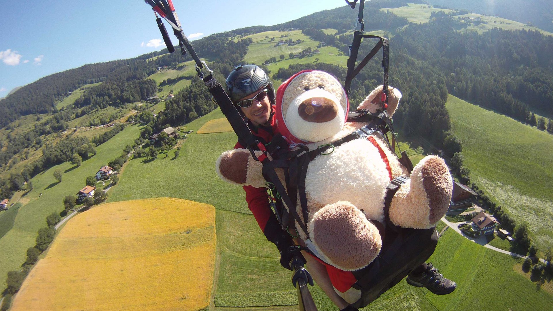 Paragliden in Zuid-Tirol De afbeelding toont een persoon die aan het paragliden is en een grote pluche beer in een tuigje voor zich draagt. Onder hen strekken zich groene velden en bossen uit in een heuvelachtig landschap.