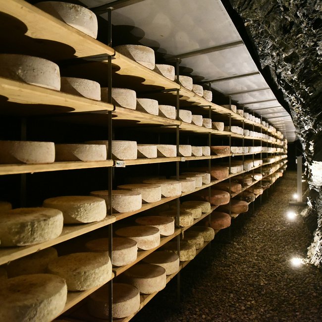 De Almencard: de plus in vakantiegenoegen De afbeelding toont een grote opslagruimte waarin kaaswielen op houten planken zijn gestapeld. De planken lopen langs een rotswand en zijn in lange rijen opgesteld, terwijl het licht de kaas in een koele, donkere omgeving benadrukt.
