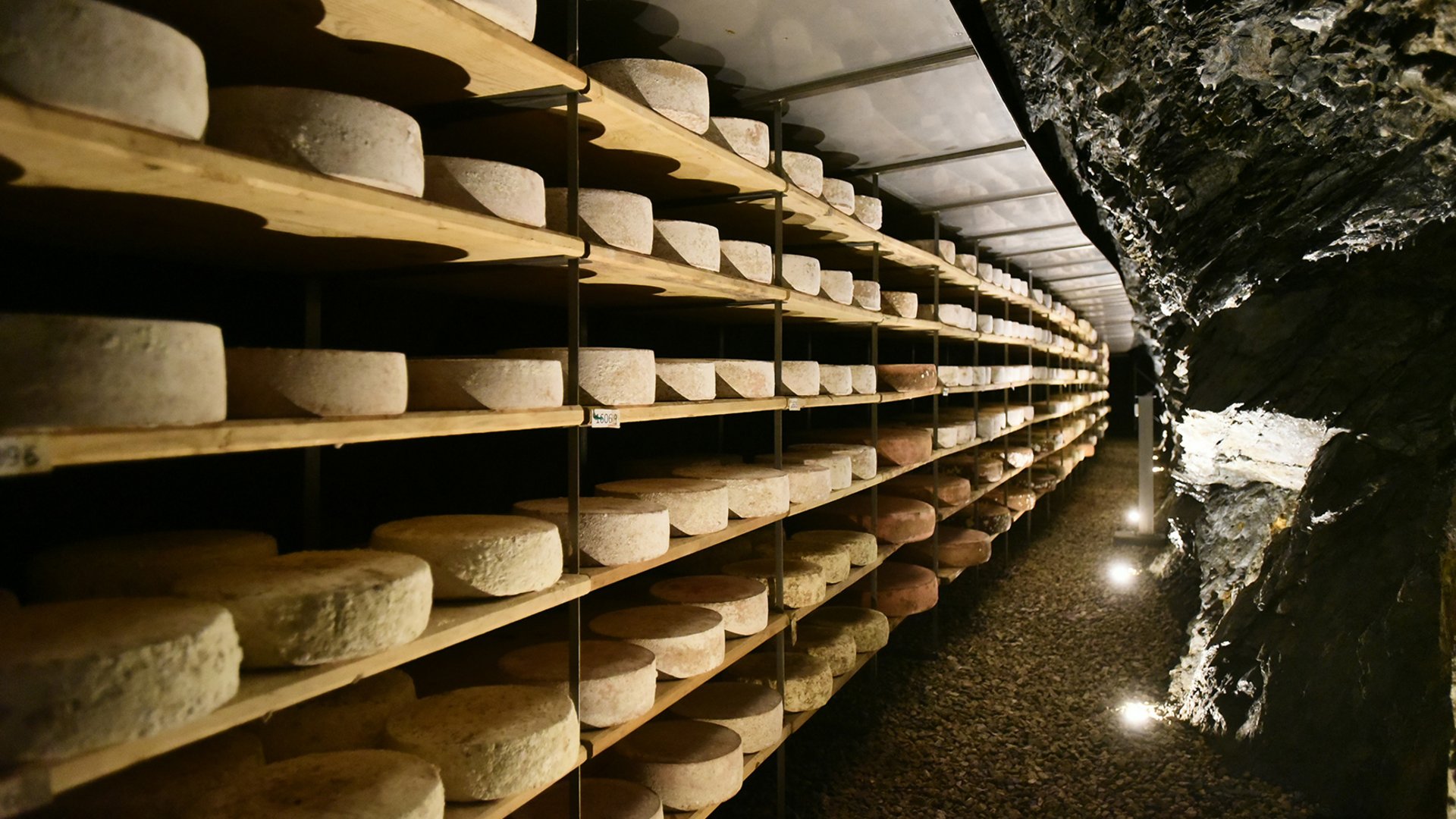 De Feinkäserei Capriz De afbeelding toont een grote opslagruimte waarin kaaswielen op houten planken zijn gestapeld. De planken lopen langs een rotswand en zijn in lange rijen opgesteld, terwijl het licht de kaas in een koele, donkere omgeving benadrukt.