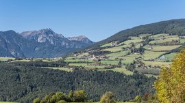 The Alpine hamlet of Spinges The picture shows a picturesque landscape with green fields and meadows, traversed by small villages and scattered houses. In the background rise large, forested mountains, and the sky is clear and blue.