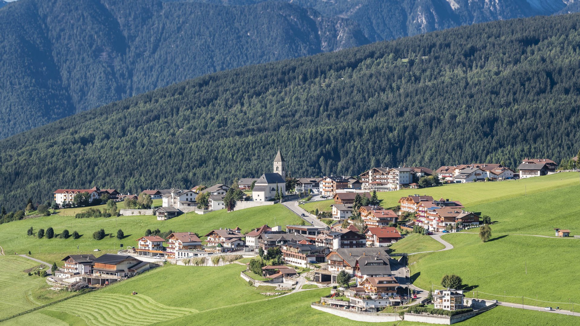 Das Bergdorf Meransen Das Bild zeigt ein malerisches Dorf, das sich an sanfte grüne Hügel schmiegt. Im Hintergrund erhebt sich ein dichter, bewaldeter Berg, und eine Kirche mit einem markanten Turm ist zentral im Dorf zu sehen.