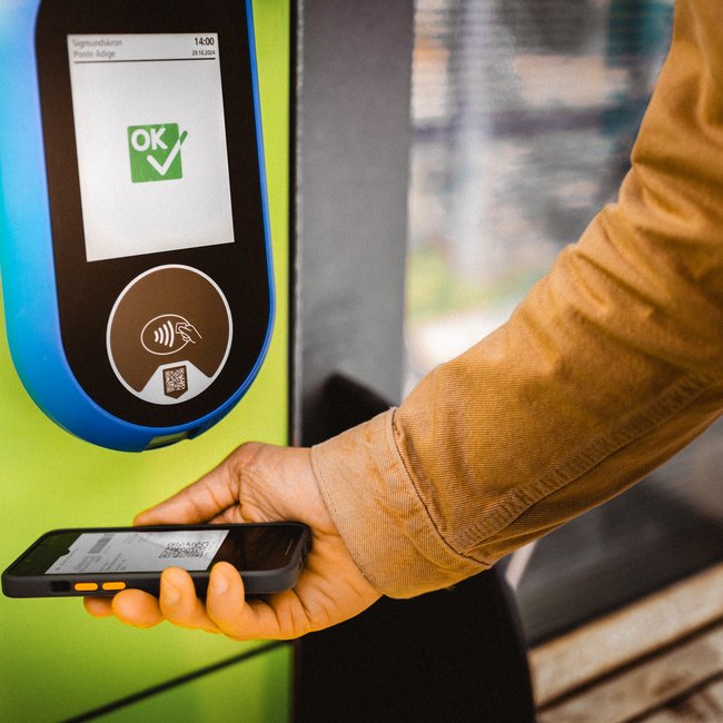 De Almencard: de plus in vakantiegenoegen Persoon scant digitale ticketcode met smartphone bij scanner