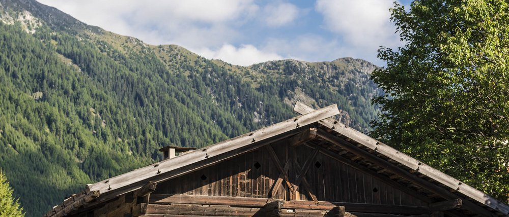 Find your accommodation in South Tyrol The picture shows a traditional wooden cabin with colorful flowers blooming in flower boxes under the windows. In the background, green, forested mountains rise under a blue sky with some clouds.