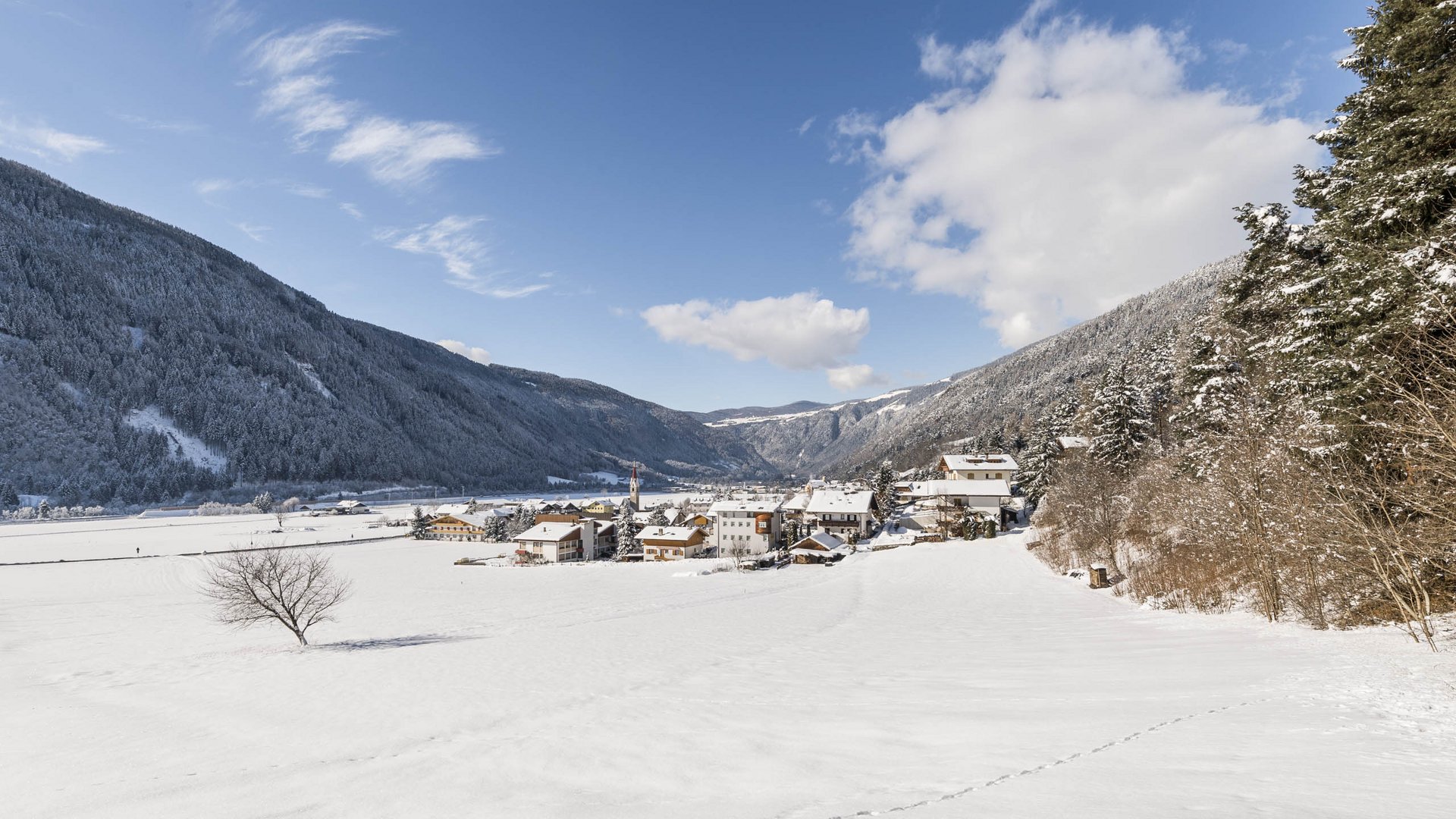 Vintl in het Pustertal De afbeelding toont een besneeuwd landschap met een klein dorp in het dal, omgeven door met sneeuw bedekte bergen. De lucht is helder en blauw, slechts doorkruist door een paar wolken, en op de voorgrond staat een enkele kale boom op het met sneeuw bedekte veld.