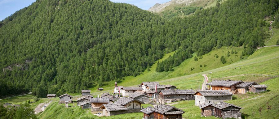 Find your accommodation in South Tyrol The picture shows a picturesque alpine hut settlement amidst green mountain slopes. The huts have traditional wooden roofs, and in the background, there are steep, densely forested mountain slopes and a small church tower visible.
