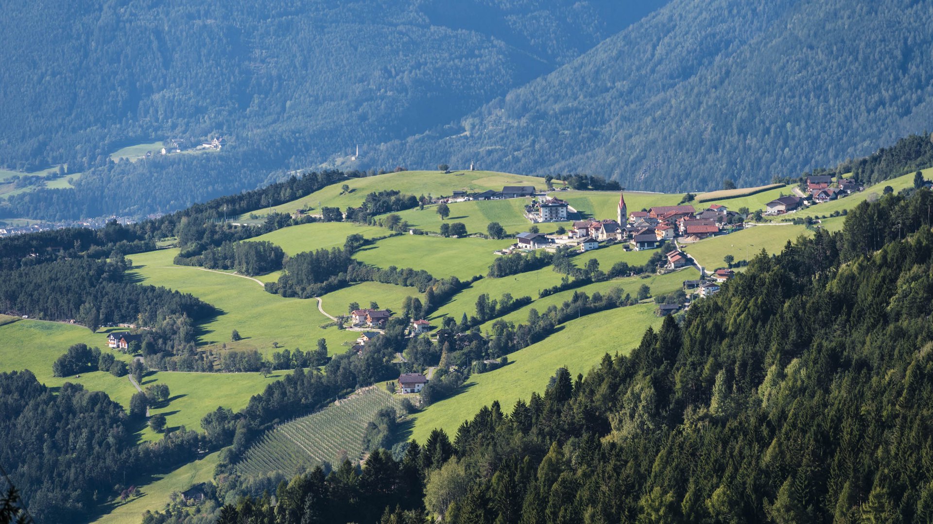 The Alpine hamlet of Spinges The image shows a hilly landscape with lush green meadows and scattered houses that blend harmoniously into the surroundings. In the background, densely forested mountains are visible surrounding the valley.