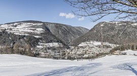 Mühlbach in the Pustertal valley The picture shows a winter landscape with a snow-covered valley in which a small town lies. Surrounded by snow-covered hills and mountains, white fields stretch out in the foreground, while bare branches of a tree frame the upper edge of the picture.