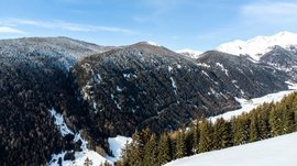 Das Bergdorf Meransen Das Bild zeigt eine winterliche Berglandschaft mit dichten Wäldern, die teilweise mit Schnee bedeckt sind. Im Hintergrund sind höhere, schneebedeckte Gipfel zu sehen, während im Vordergrund Tannenbäume die schneebedeckten Hänge säumen. Der Himmel ist klar und blau.