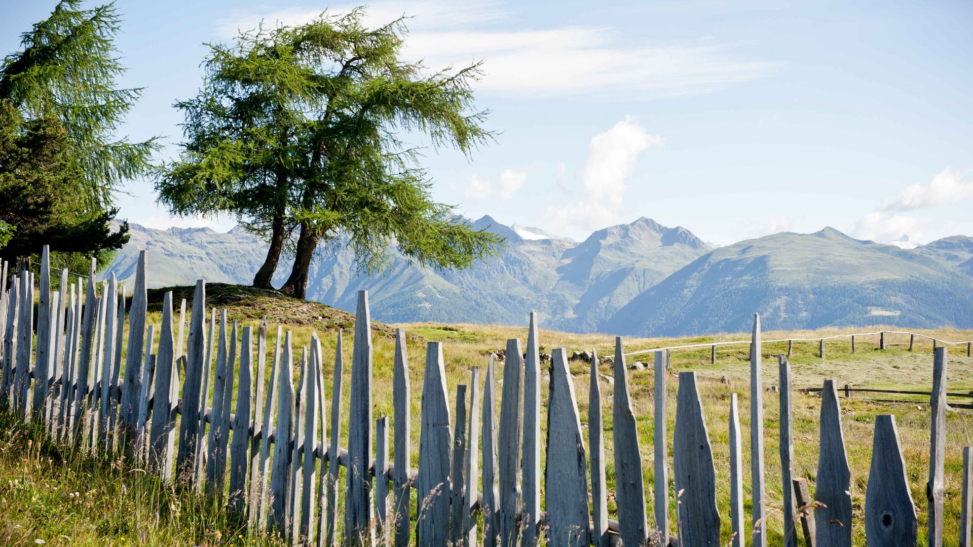 De Rodenecker-Lüsner Alm De afbeelding toont een idyllisch landschap met op de voorgrond een schuin verlopende houten omheining, bestaande uit puntige, natuurlijk houten latten. Daarachter staat een enkele boom op een groen weiland, omgeven door bergtoppen onder een heldere blauwe lucht.