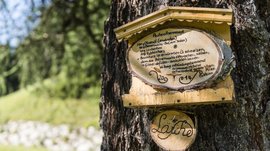 Vals: das Almendorf Das Bild zeigt ein handgeschriebenes Rezept auf einer Holzscheibe, die an einem Baum befestigt ist. Es handelt sich um ein traditionelles Rezept für eine Pechsalbe, das in schöner Kalligraphie in die Holzscheibe eingebrannt wurde, während der Baum im Hintergrund einen grünen Wald zeigt.