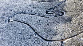 The Alpine hamlet of Spinges The picture shows a snowy landscape from a bird's eye view, where a narrow, winding river meanders through a dense, snow-covered forest. The river stands out darkly against the white trees, creating strong contrasts.