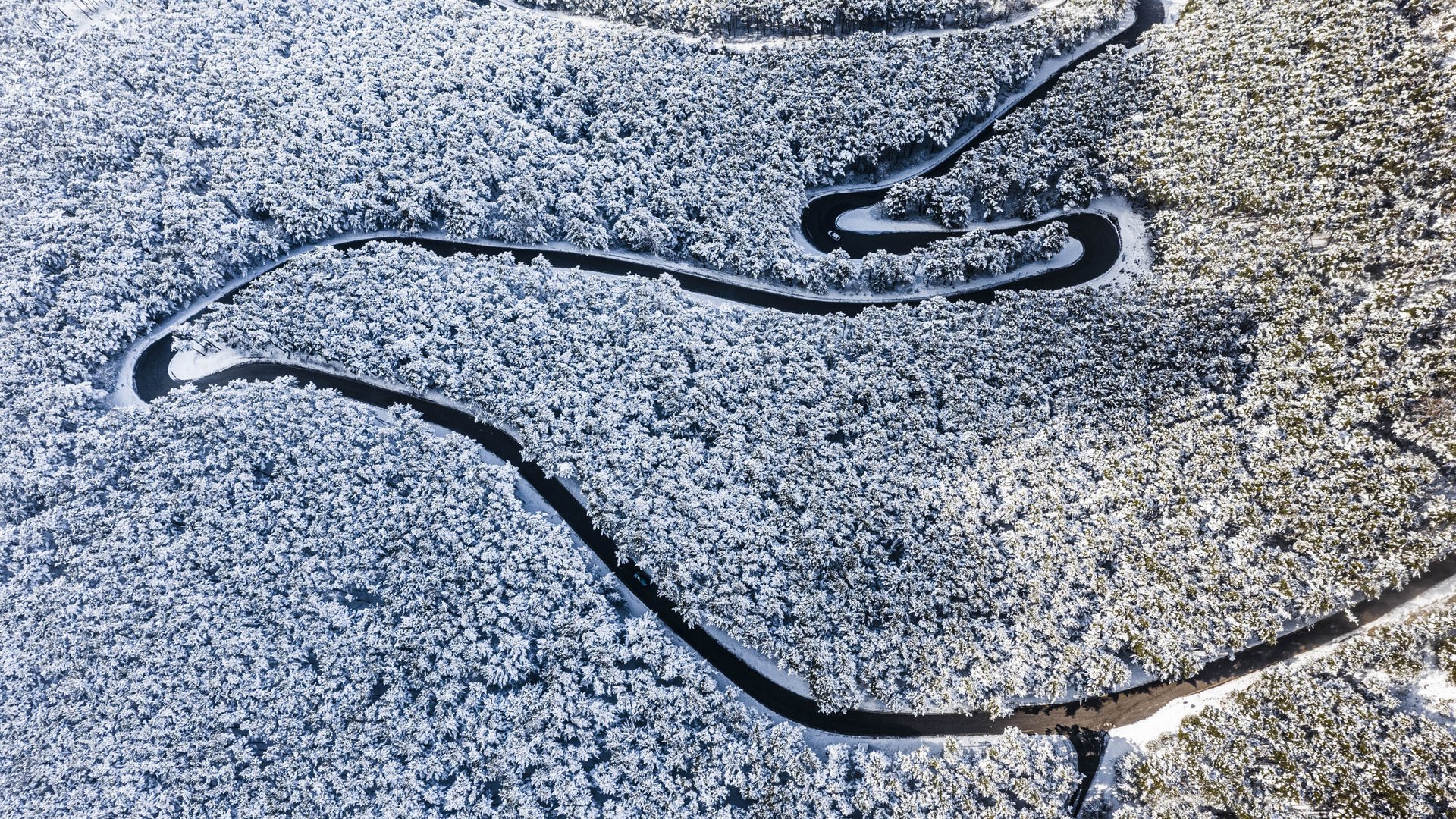 The Alpine hamlet of Spinges The picture shows a snowy landscape from a bird's eye view, where a narrow, winding river meanders through a dense, snow-covered forest. The river stands out darkly against the white trees, creating strong contrasts.