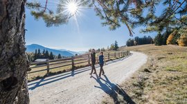 De Rodenecker-Lüsner Alm De afbeelding toont twee personen die wandelen op een zonnig, breed wandelpad. Boven hen schijnt de zon door de takken van een boom, en op de achtergrond zijn beboste heuvels en bergen te zien.