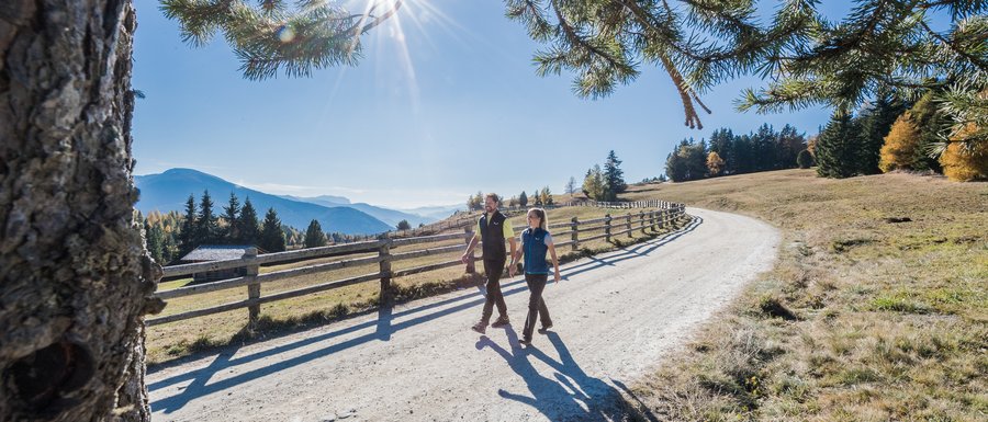 Find your accommodation in South Tyrol The picture shows two people walking on a sunny, wide hiking trail. Above them, the sun shines through the branches of a tree, and in the background, wooded hills and mountains can be seen.