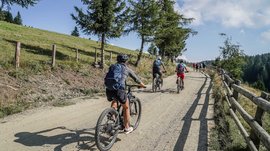 De Rodenecker-Lüsner Alm De foto toont een groep fietsers die bergop rijden op een breed, onverhard pad. Het pad wordt aan beide zijden omzoomd door bomen, en links strekt zich een groene weide uit, terwijl rechts een houten hek langs het pad loopt. Het landschap duidt op een bergachtige omgeving.