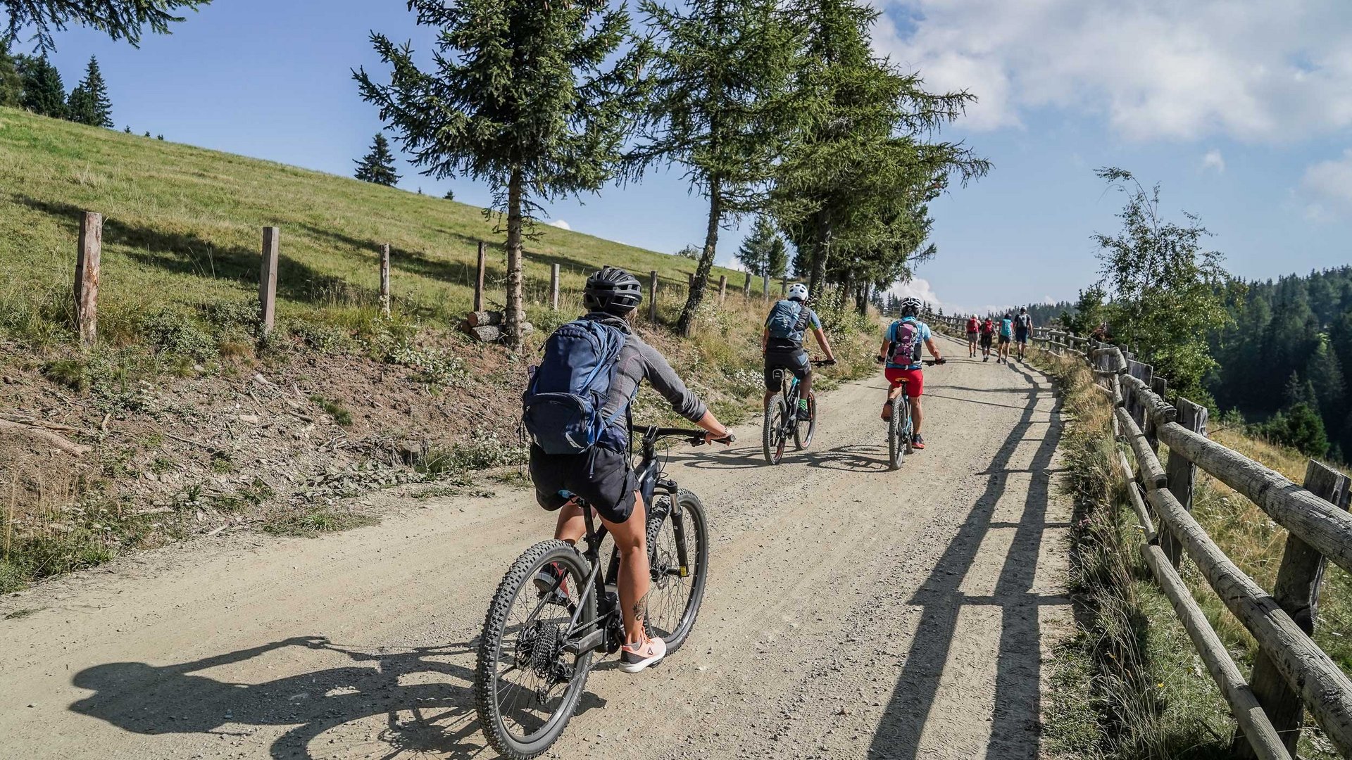 De Rodenecker-Lüsner Alm De foto toont een groep fietsers die bergop rijden op een breed, onverhard pad. Het pad wordt aan beide zijden omzoomd door bomen, en links strekt zich een groene weide uit, terwijl rechts een houten hek langs het pad loopt. Het landschap duidt op een bergachtige omgeving.