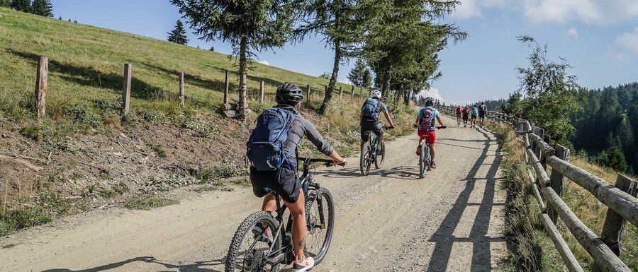 Find your accommodation in South Tyrol The picture shows a group of cyclists riding uphill on a wide, unpaved path. The path is lined with trees, and to the left stretches a green meadow, while on the right a wooden fence runs along the path. The landscape suggests a mountainous environment.
