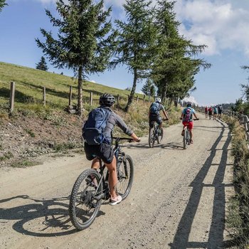 Willkommen in der Ferienregion Gitschberg Jochtal! Das Bild zeigt eine Gruppe von Radfahrern, die auf einem breiten, unbefestigten Weg bergauf fahren. Der Weg ist von Bäumen gesäumt, und links erstreckt sich eine grüne Wiese, während rechts ein Holzzaun entlang des Weges verläuft. Die Landschaft deutet auf eine bergige Umgebung hin.