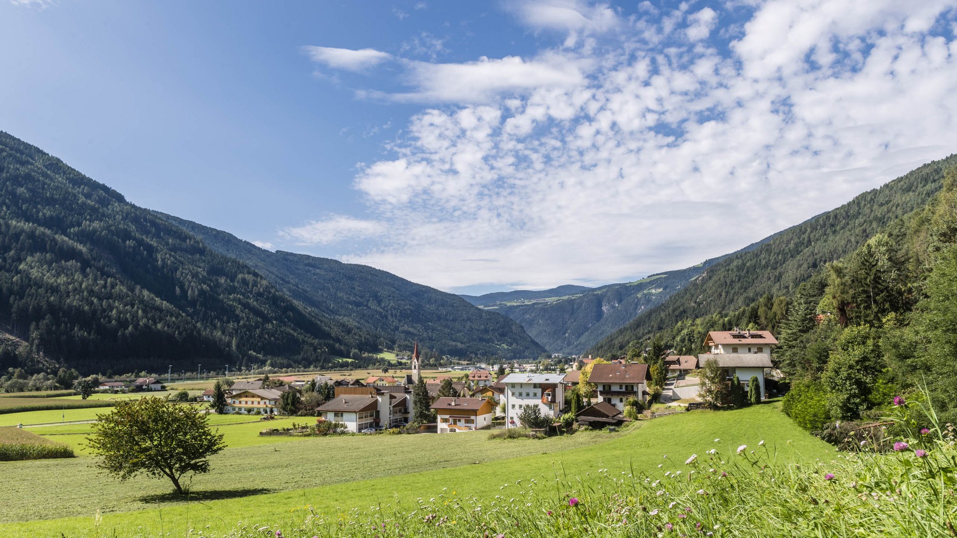 Vintl in het Pustertal De afbeelding toont een zonnig dal met groene weilanden en een klein dorp op de achtergrond, omringd door beboste bergen. In het midden van het dorp staat een kerk met een rode toren, terwijl aan de horizon blauwe lucht met verspreide witte wolken te zien is.