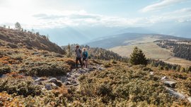 Nejkrásnější turistické trasy pohořím Dolomity Obrázek zobrazuje dva turisty, muže a ženu, kteří kráčejí po kamenné stezce v kopcovité krajině. Jsou obklopeni nízkou, keřovitou vegetací a v pozadí se rozprostírá široká lesnatá krajina s měkkými kopci pod jasnou, čistou oblohou.