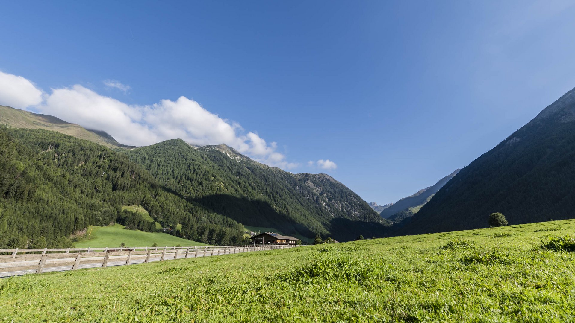 Vals: das Almendorf Das Bild zeigt eine weite grüne Wiese im Vordergrund, die von einem Holzzaun abgegrenzt wird. Im Hintergrund erheben sich bewaldete Berghänge unter einem klaren blauen Himmel mit ein paar Wolken.