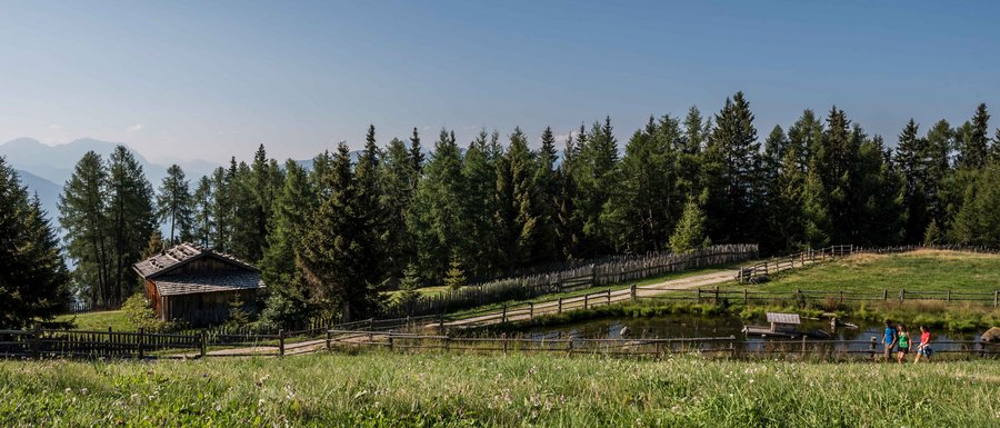 Find your accommodation in South Tyrol Green meadow with wooden cabin, pond and hikers under clear blue sky