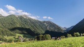 Vals: das Almendorf Das Bild zeigt eine grüne Wiese, die sich in ein Tal erstreckt, umgeben von dicht bewaldeten Bergen unter einem klaren blauen Himmel. Auf der Wiese sind mehrere Wanderer zu sehen, die in Richtung des Tals laufen.