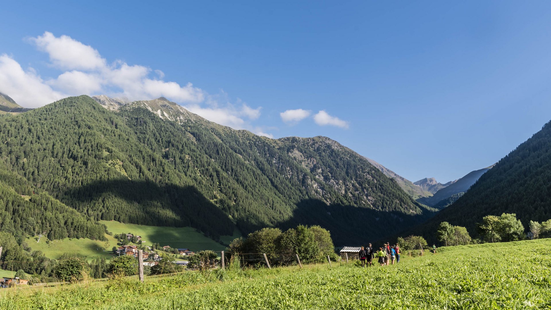 Vals: das Almendorf Das Bild zeigt eine grüne Wiese, die sich in ein Tal erstreckt, umgeben von dicht bewaldeten Bergen unter einem klaren blauen Himmel. Auf der Wiese sind mehrere Wanderer zu sehen, die in Richtung des Tals laufen.