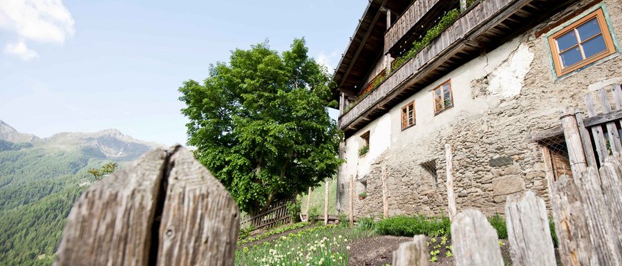 Find your accommodation in South Tyrol The picture shows a rustic, old building with a stone facade and wooden balconies. In the foreground, there is a wooden fence enclosing a small garden with green vegetables or plants. In the background, green hills and a large tree are visible.